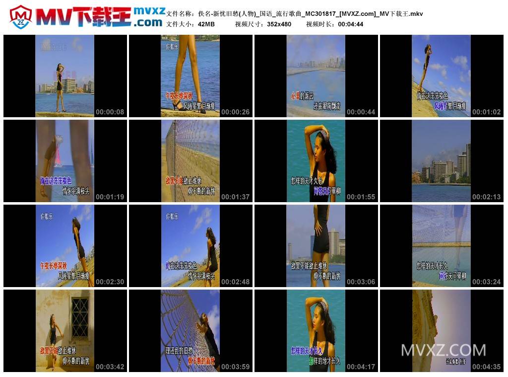 佚名-新忧旧愁(人物)_国语_流行歌曲_MC301817